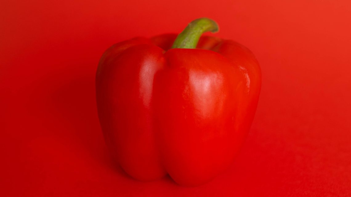Pepper seeds in the pocket of a refugee
